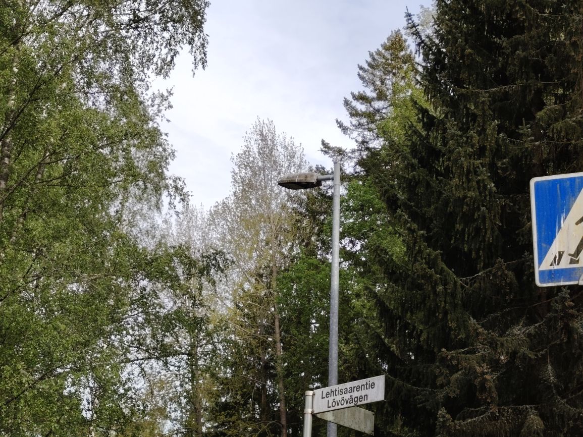1000019489.jpg