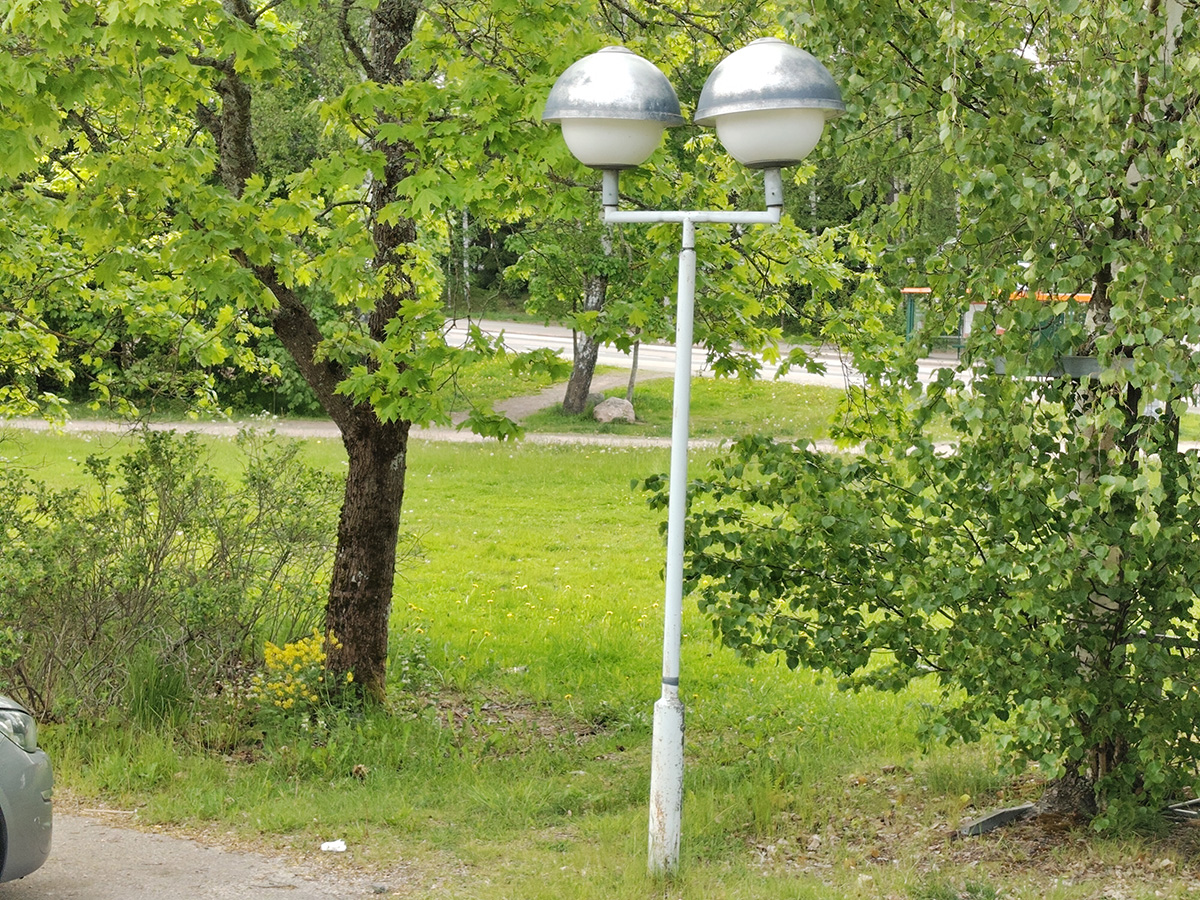 1000019521.jpg