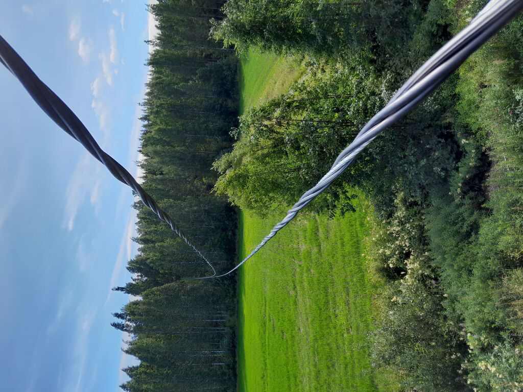 20220720_100811.jpg