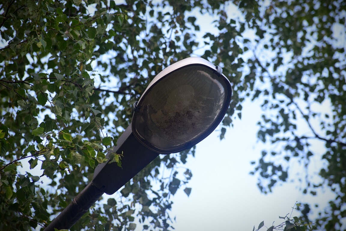 DSC_03881.jpg