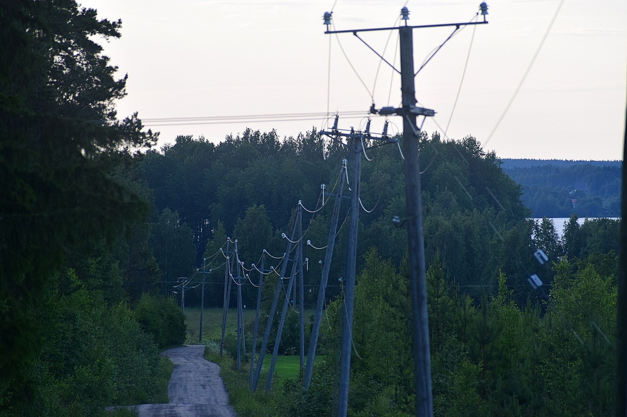 DSC_03901.jpg