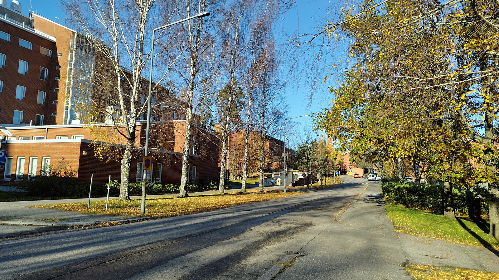 IMG_20241029_110547_HDR.jpg