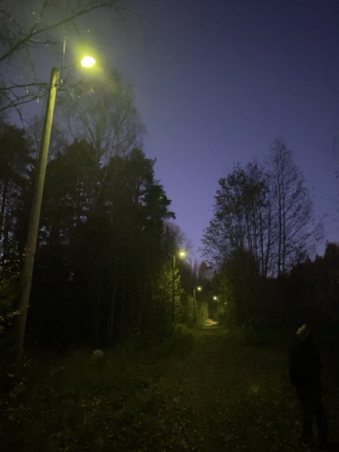 IMG_2107-Normaali.jpeg