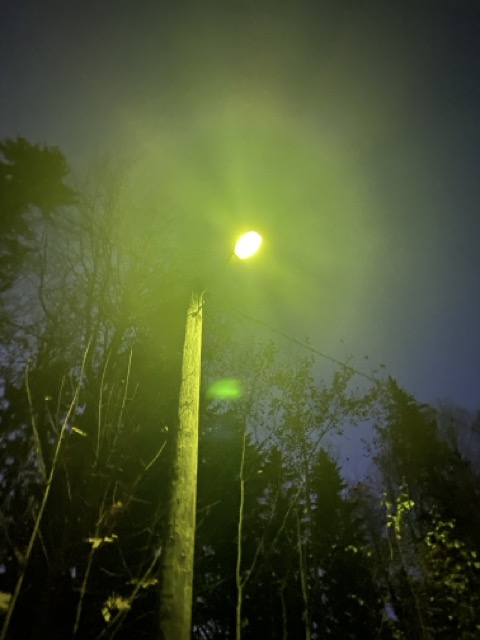 IMG_2108-Normaali.jpeg