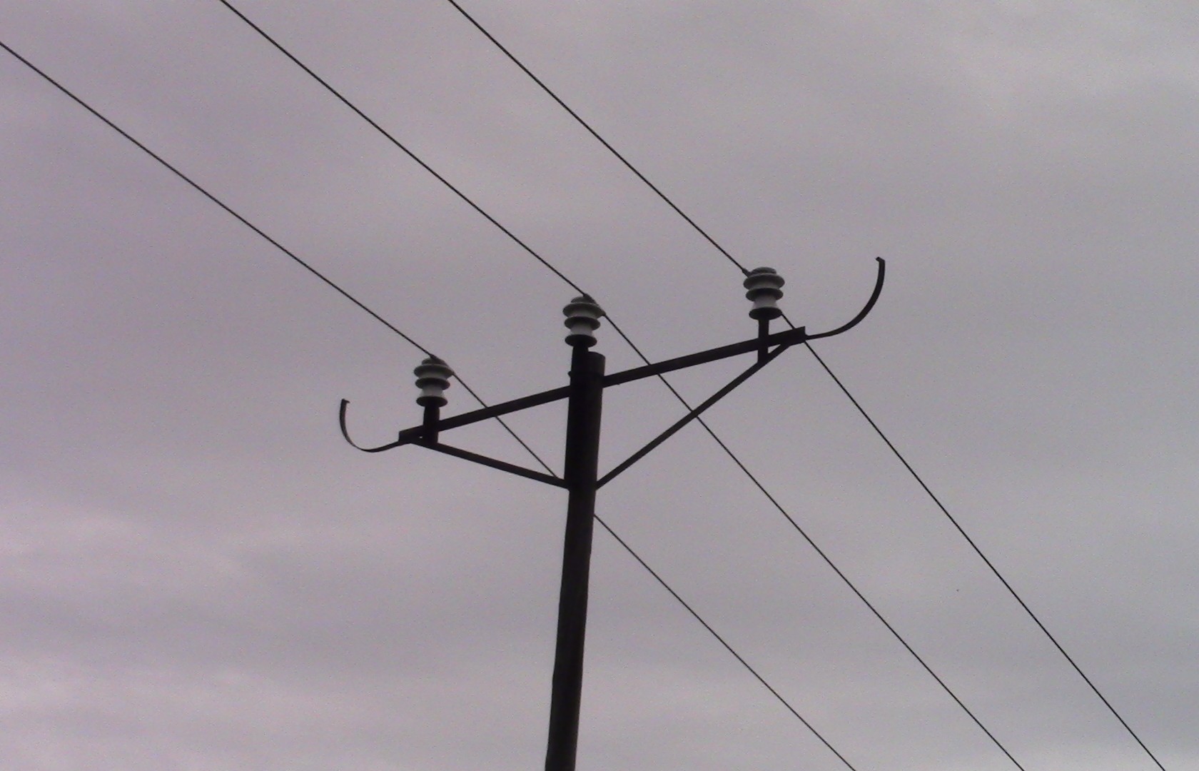 IMG_3102_33kV.jpg