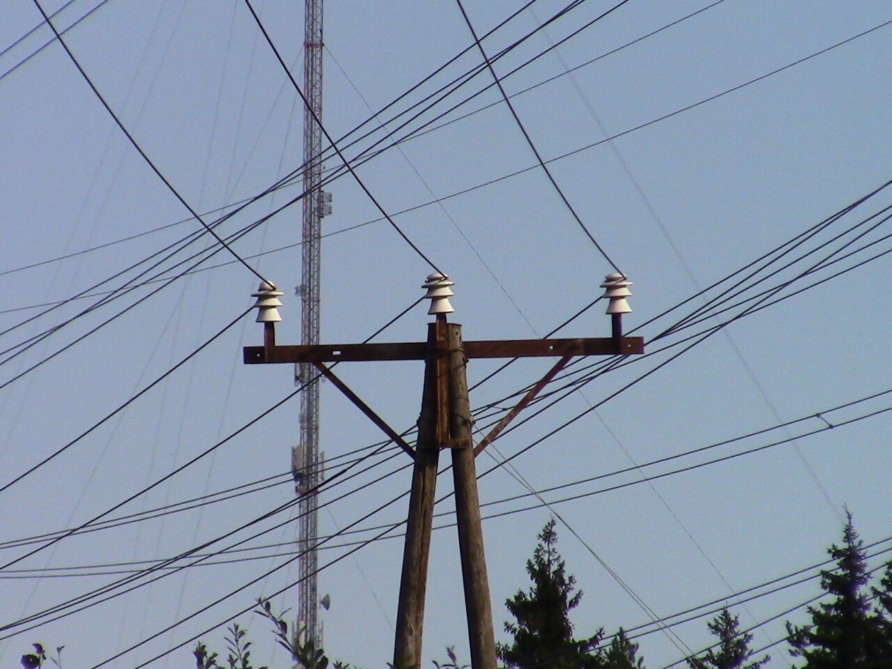 IMG_3142_33kV.jpg