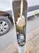 IMG-20250606-WA0000.jpg