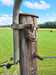 IMG-20250815-WA0011.jpg