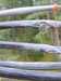 IMG-20250815-WA0025.jpg