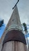 Screenshot_20250531_102452_Gallery.jpg