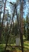 Screenshot_20250704_122611_Gallery.jpg