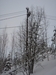 Mikko Koho, Mellonmäen entinen laskettelukeskus, toiminut suunnilleen 1970-2000-luvun alku.
Rinteen entistä valaistusta ja maassa edelleen lumetusputkien jämät., 16.01.2012